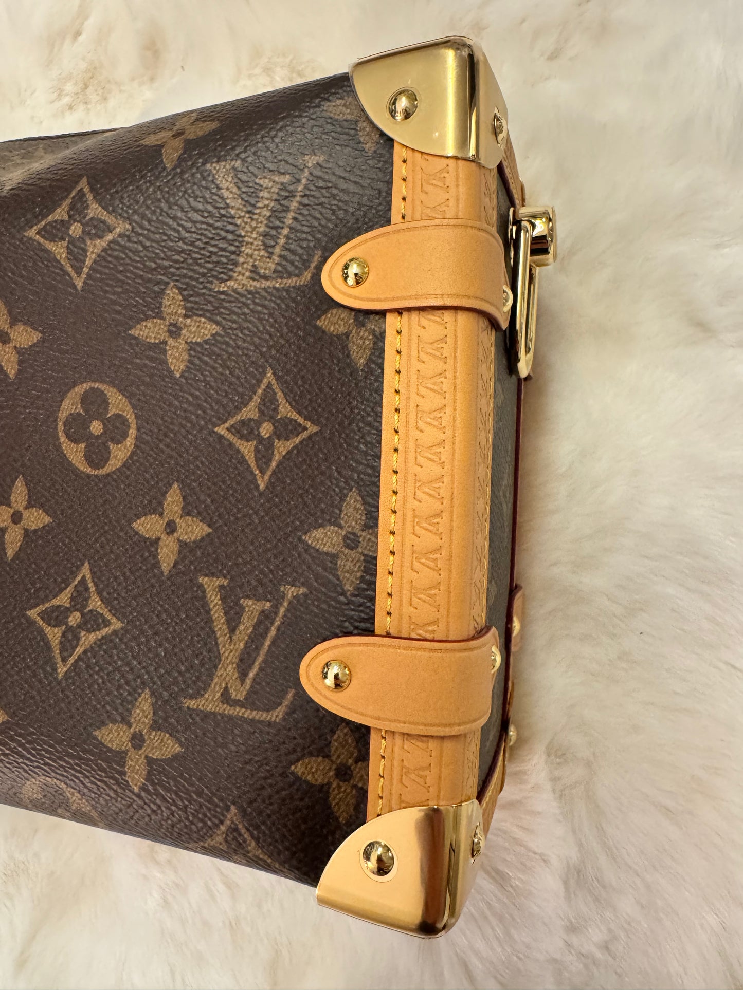 Louis Vuitton Monogram Side Trunk (New Without Tags) Includes Two Straps (Crossbody and Shoulder) - additional view 7