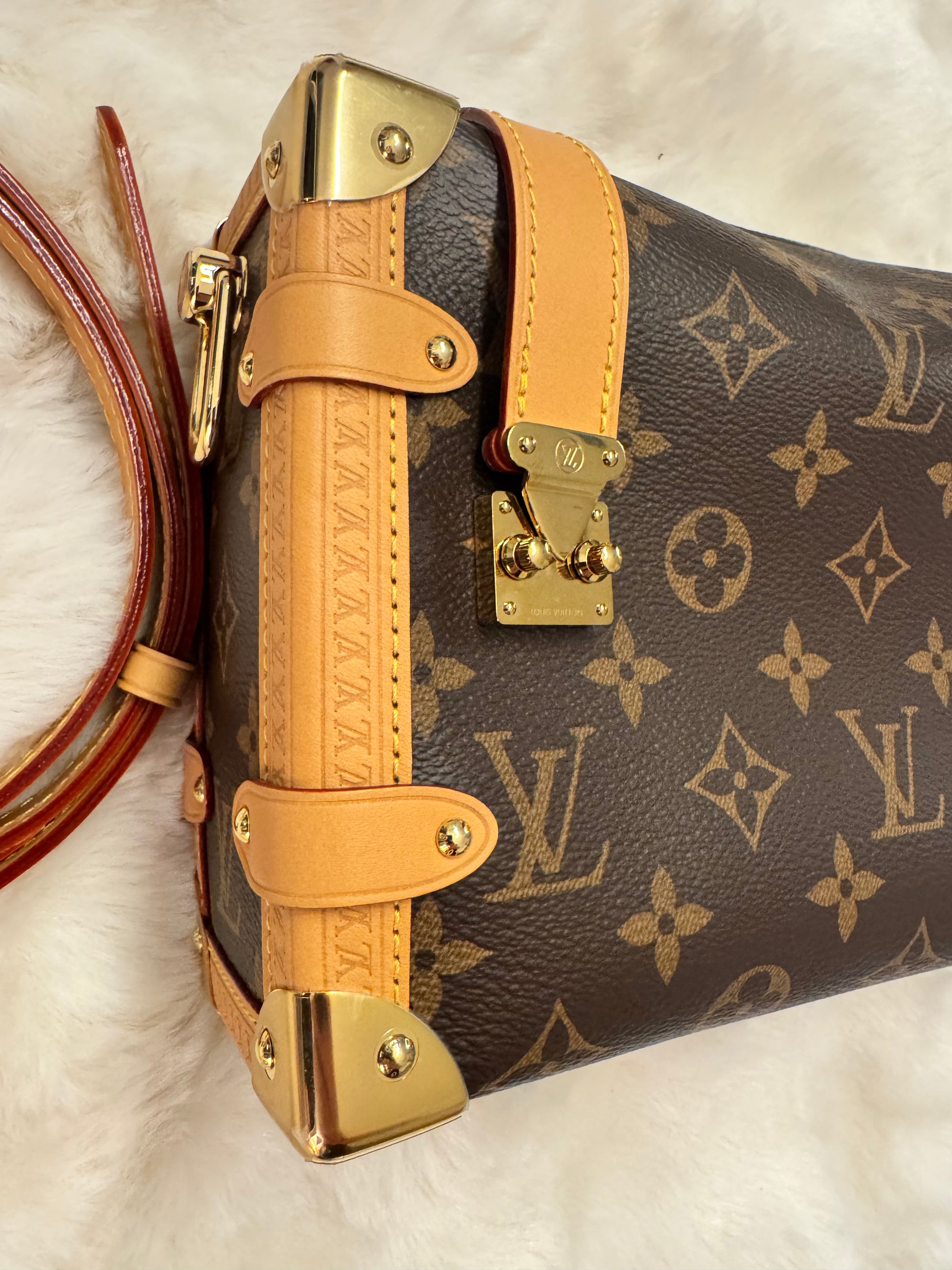 Louis Vuitton Monogram Side Trunk (New Without Tags) Includes Two Straps (Crossbody and Shoulder) - additional view 8