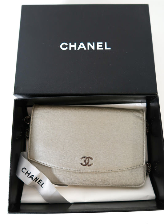 Chanel Sevruga Wallet on Chain