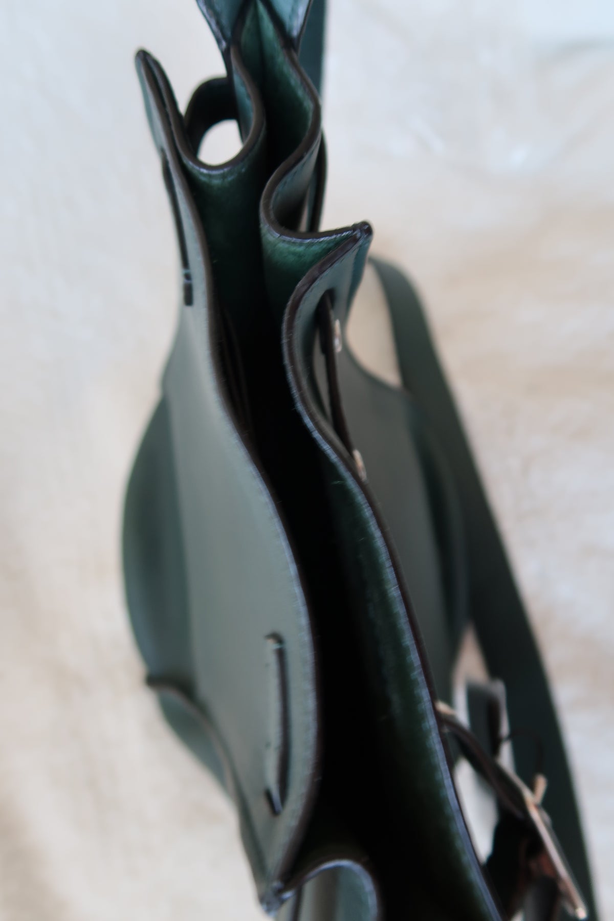 Celine Big Bag Bucket Lambskin Leather Bag - Forest Green