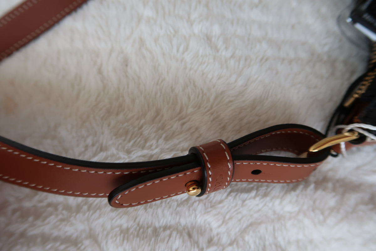 Celine Ava Bag Triomphe Coated Canvas Mini