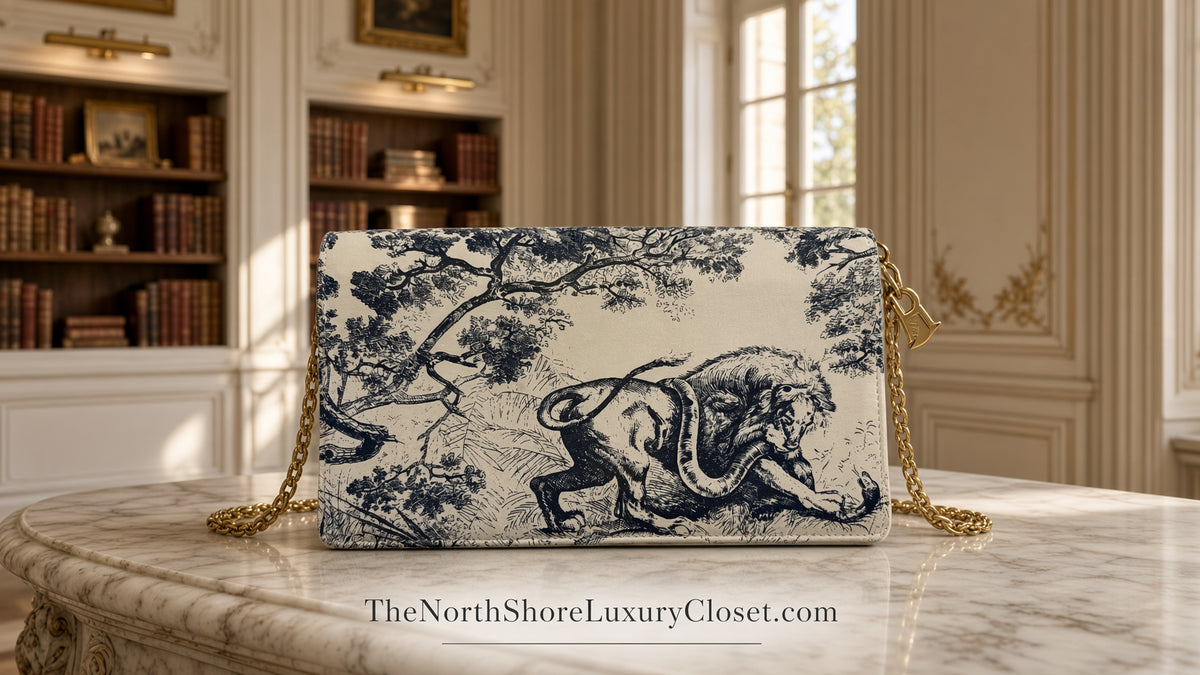 Christian Dior Toile de Jouy Clutch
